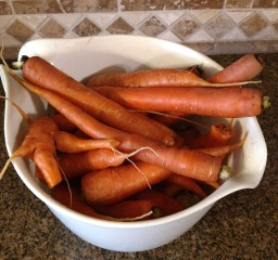 4 Quarts Carrots, Washed., in a bowl