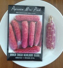 picture of seed packet with mini pop corn on the cob